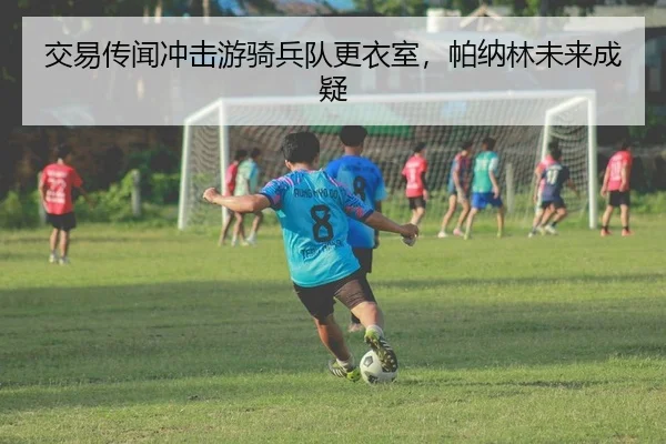 交易传闻冲击游骑兵队更衣室，帕纳林未来成疑