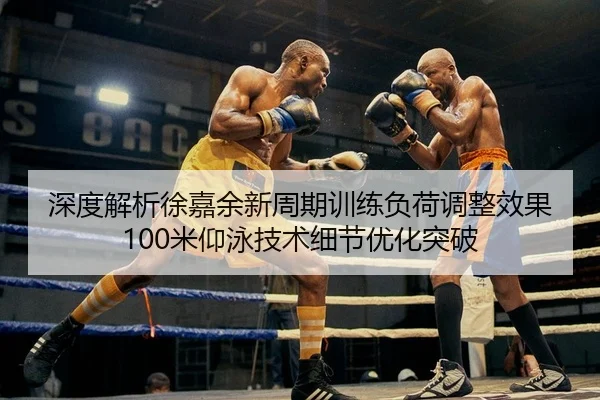 shen-du-jie-xi-xu-jia-yu-xin-zhou-qi-xun-lian-fu-he-tiao-zheng-xiao-guo-mi-yang-yong-ji-shu-xi-jie-you-hua-tu-po-2-457.jpg